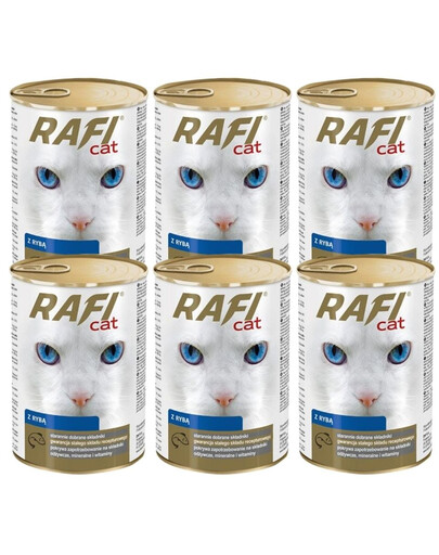 DOLINA NOTECI Rafi Adult mit Fisch in Sauce 6x415 g