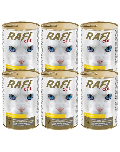 DOLINA NOTECI RAFI Adult mit Geflügel in Sauce 6x415 g