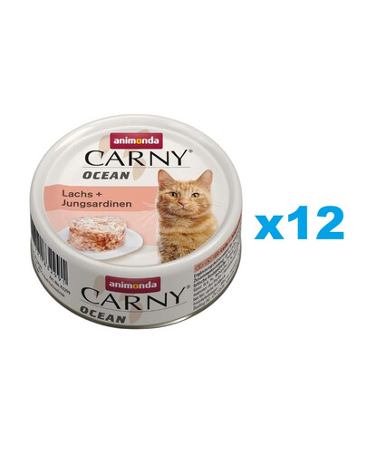 ANIMONDA Carny Nassfutter mit Lachs und Sardinen für adulte Katzen 12x80g