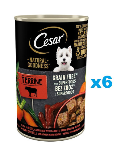 CESAR Natural Goodness Terrine 6x400 g reich an Rindfleisch mit Karotten, grünen Bohnen und Kräutern