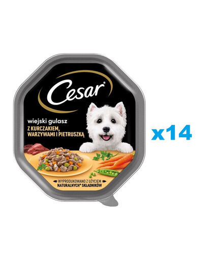 CESAR Schale 14x150g: Vollwertiges Nassfutter in Sauce für ausgewachsene Hunde mit Huhn, Gemüse und Petersilien