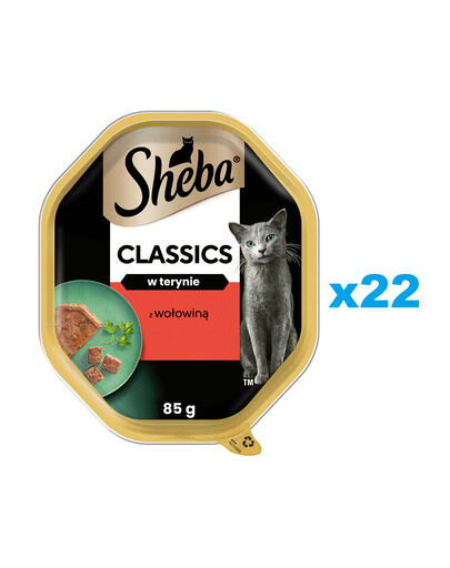 SHEBA Classics 22x85 g Nassfutter für adulte Katzen mit Rind in Terrine