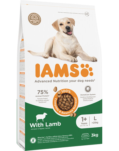 IAMS for Vitality für adulte Hunde großer Rassen mit Lamm 3 kg