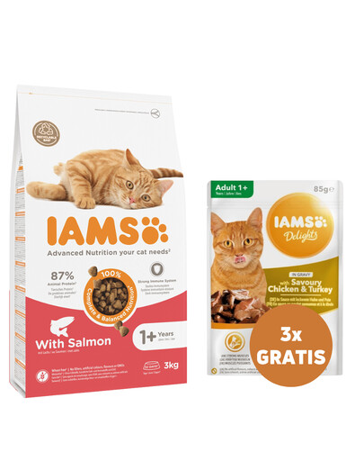 IAMS Cat Adult All Breeds Salmon für adulte Katzen mit Lachs 3 kg + 3 x Huhn und Pute in Sauce 85 g