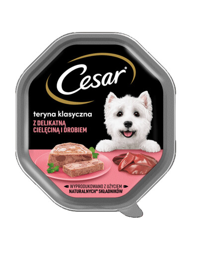 CESAR Schale 150 g : Nassvollnahrung für ausgewachsene Hunde: Terrine mit zartem Kalbfleisch und Geflügel
