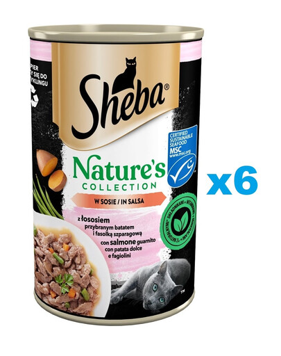 6x400 g SHEBA Nature's Collection adulte Katzen mit Lachs, Süßkartoffeln und grünen Bohnen in Sauce