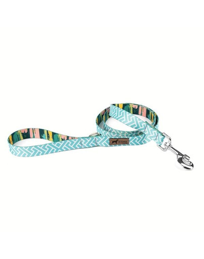Smycz dla psa arctic ice 150 cm / 2,5 cm