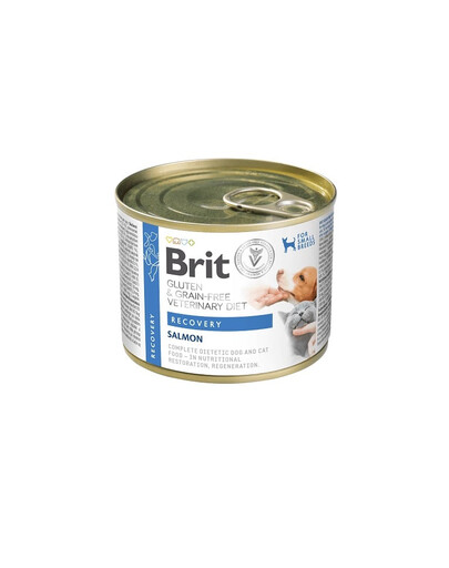Veterinary Diet Grain Free Recovery 200 g łosoś i wątróbka z kurczaka dla psa i kota w okresie rekonwalescencji