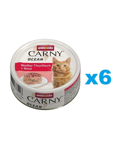 ANIMONDA Carny Nassfutter mit Weißer Thunfisch und Rind für Katzen 6x80g
