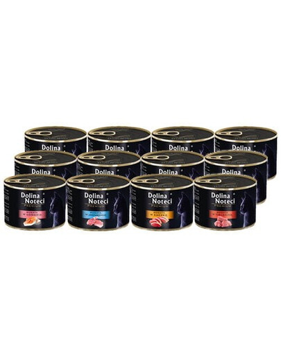 DOLINA NOTECI Premium Nassfutter MIX 4 Geschmacks für Katzen 12x185 g