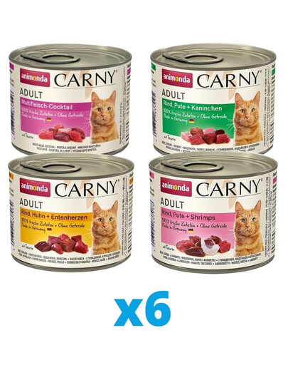 ANIMONDA Carny mix smaków 24 x 200 g