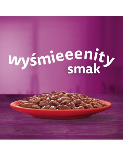 Klasyczne Posiłki mokra karma pełnoporcjowa dla dorosłych kotów w sosie 40x85 g