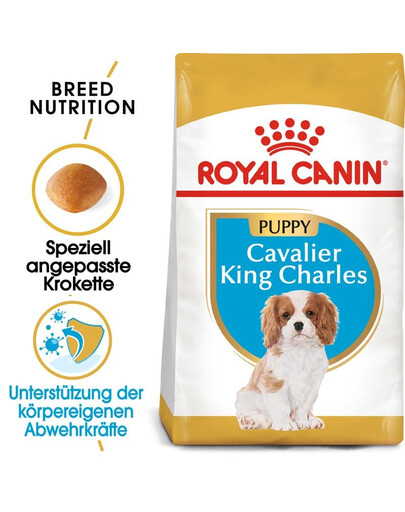 ROYAL CANIN Cavalier King Charles Spaniel Puppy 4x1,5 kg