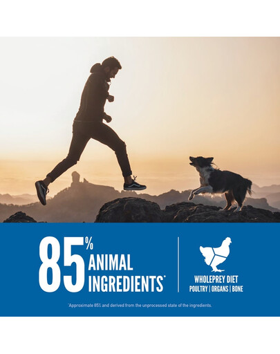 ORIJEN Original Dog 340 g