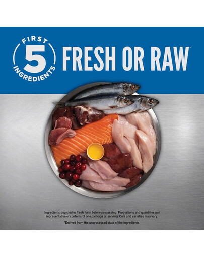 ORIJEN Original Dog 2 kg