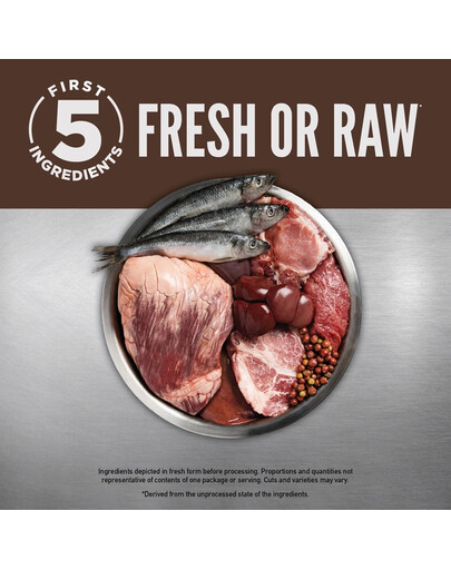 ORIJEN Regional Red Cat 1.8 kg