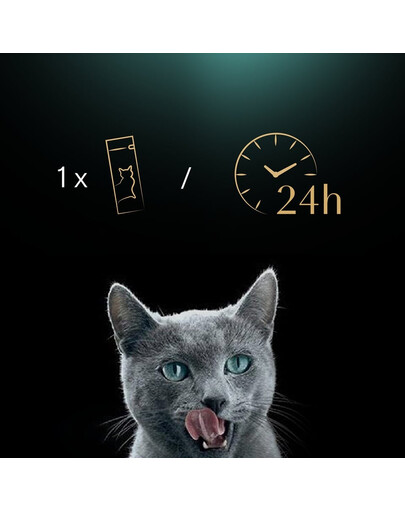 Creamy Snacks kremowy przysmak dla kota z kurczakiem 4x12g