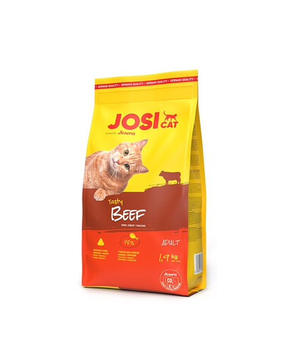 JOSERA JosiCat Tasty Beef mit Rind für adulte Katzen 2x1,9kg