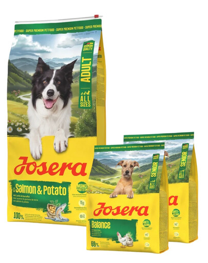 JOSERA Salmon and Potato Adult getreidefreies Futter für Hunde mit empfindlichem Magen 12,5kg + 2x900g GRATIS
