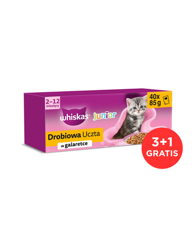 WHISKAS Junior 120x85g Nassfutter mit Huhn, Ente, Geflügel und Pute in Gelee für Kätzchen + 40 Beutel GRATIS