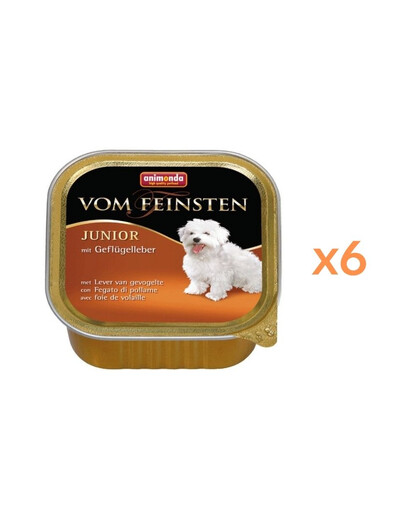 ANIMONDA vom Feinstein Nassfutter mit Geflügelleber für junge Hunde 6x150g