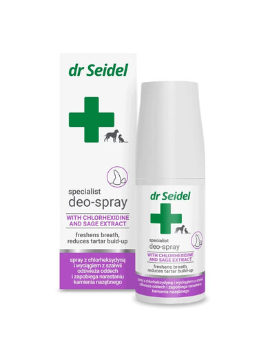 DR SEIDEL Deo-Spray saubere Zähne frischer Atem 50ml