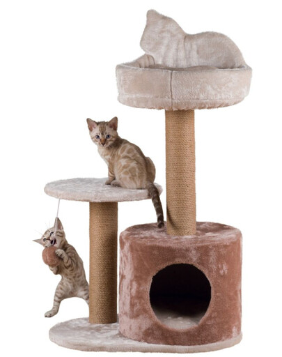 TRIXIE Kratzbaum Gianni, 80 cm