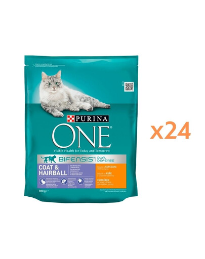 PURINA ONE COAT & HAIRBALL Trockenfutter mit Huhn und Vollkorn für adulte Katzen 24x800g