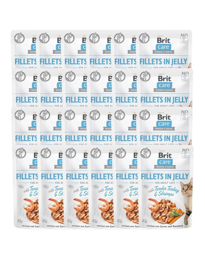 Care Fillets in Jelly indyk i krewetki saszetki dla kota 24 x 85 g