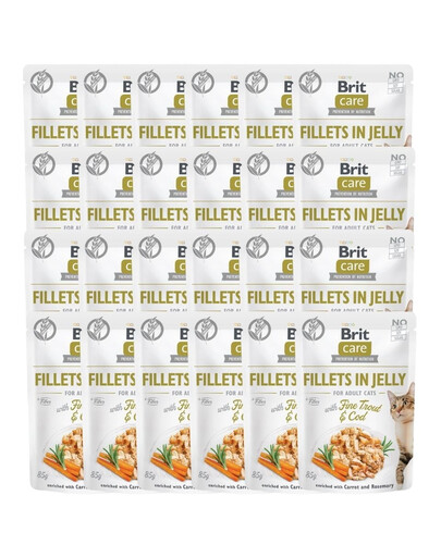 Care Fillets in Jelly with Fine Trout & Cod 24 x 85 g Dorsz i pstrąg