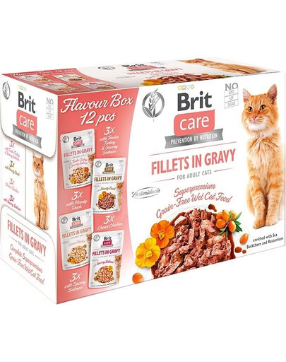 BRIT Care Fillets in Gravy Nassfutter Filets mit Lachs, Pute, Ente und Huhn in Soße für Katzen 24x85 g