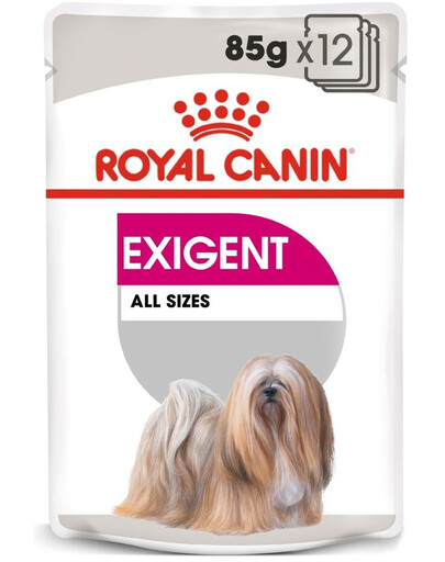 ROYAL CANIN Exigent Nassfutter Pastete für adulte wählerische Hunde 24 x 85 g