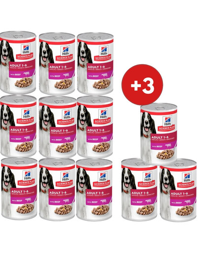 HILL'S Science Plan Canine Adult Beef für adulte Hunde 9x370 g + 3 Dosen GRATIS!