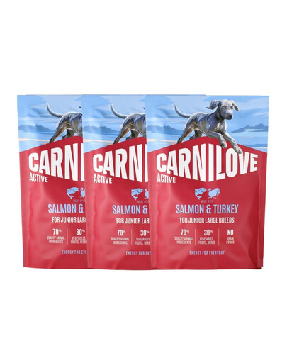 CARNILOVE Active Junior Large Breeds Lachs und Truthahn für Junior Junghunde großer Rassen 3x1,5 kg