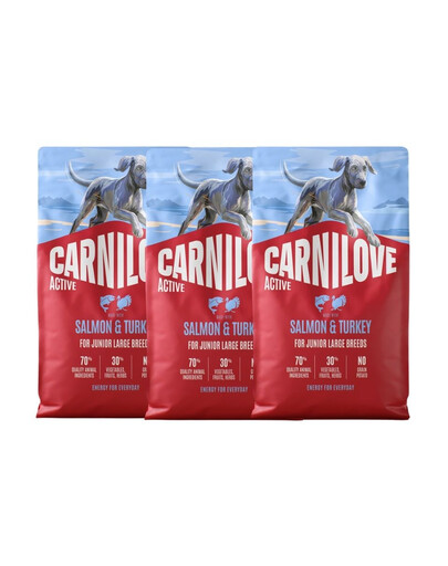 CARNILOVE Active Junior Large Breeds Trockenfutter Lachs und Truthahn für Junghunde großer Rassen 3x4 kg