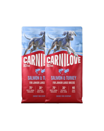 CARNILOVE Active Junior Large Breeds Lachs und Truthahn für Junior Junghunde großer Rassen 2x12 kg