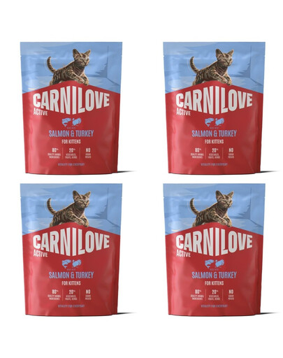CARNILOVE Active Trockenfutter mit Lachs und Pute für Kätzchen aller Rassen getreidefrei 4x400 g