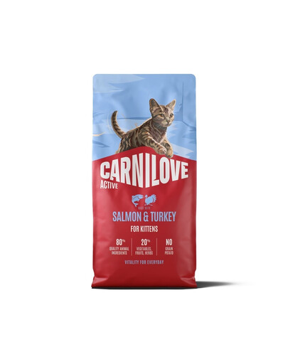 CARNILOVE Active Trockenfutter mit Lachs und Pute für Kätzchen aller Rassen getreidefrei 6 kg