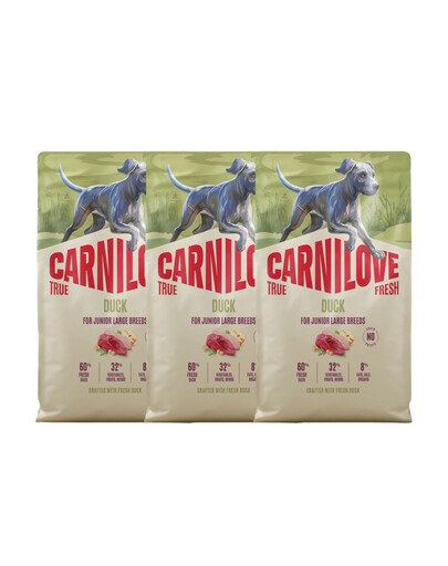 CARNILOVE True Fresh Duck Junior Large Trockenfutter mit Ente für Junioren großer Rassen getreidefrei 3x4 kg