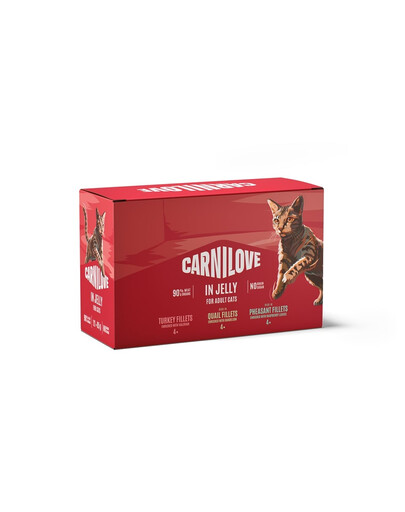 CARNILOVE Multipack Nassfutter in Gelee Mix Geschmacks für adulte Katzen getreidefrei 12x85 g