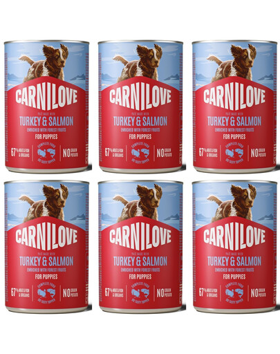 CARNILOVE Dog Can Nassfutter Pastete mit Pute und Lachs für Welpen getreidefrei 6x400g