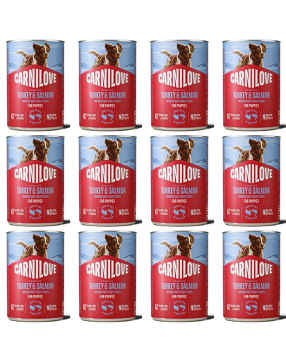 CARNILOVE Dog Can Nassfutter Pastete mit Pute und Lachs für Welpen getreidefrei 12x400g