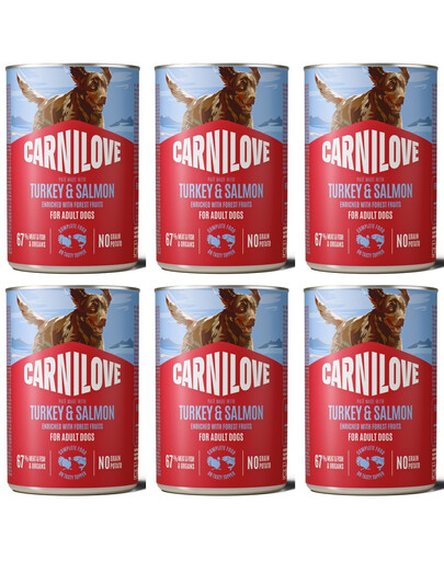 CARNILOVE Dog Can Nassfutter Pastete mit Pute und Lachs für adulte Hunde getreidefrei 6x400g