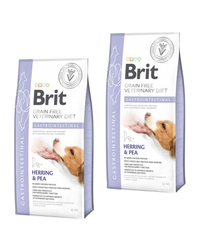 BRIT Veterinary Diets Dog Gastointestinal 2x12 kg
