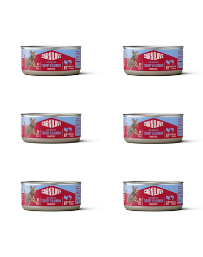 CARNILOVE Cat Can Paté Nassfutter Pastete mit Pute und Lachs für Kätzchen getreidefrei 6x100 g