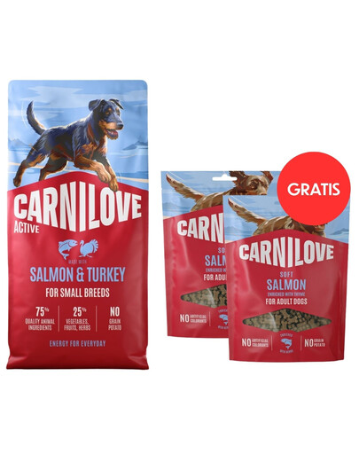 CARNILOVE Active Trockenfutter Lachs und Pute für adulte Hunde kleiner Rassen getreidefrei 12 kg + Soft Snack Salmon Small Bite 2x200g