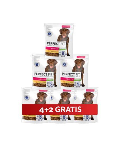 PERFECT FIT Adult 1+ Trockenvollnahrung mit Huhn für adulte Hunde großer Rassen 6 x 825 g