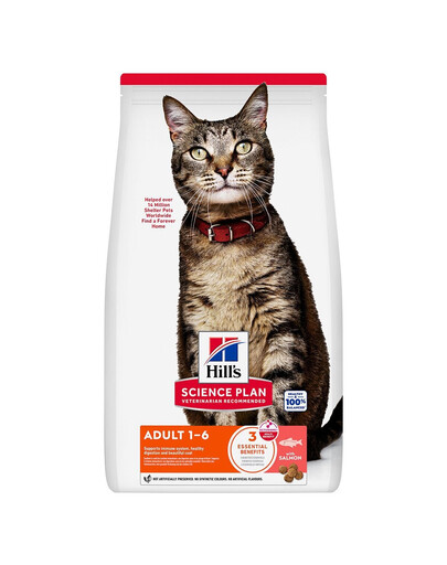 HILL'S Science Plan Feline Adult Salmon Trockenfutter mit Lachs für adulte Katzen 10 kg
