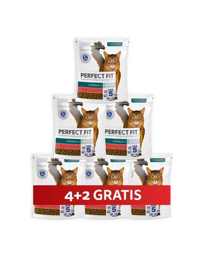 PERFECT FIT (Sterile 1+) Reich an Rindfleisch – Trockenfutter für Katzen nach der Sterilisation 6 x 750 g