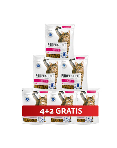 PERFECT FIT (Adult 1+) Reich an Lachs – Trockenfutter für Katzen 6 x 750 g